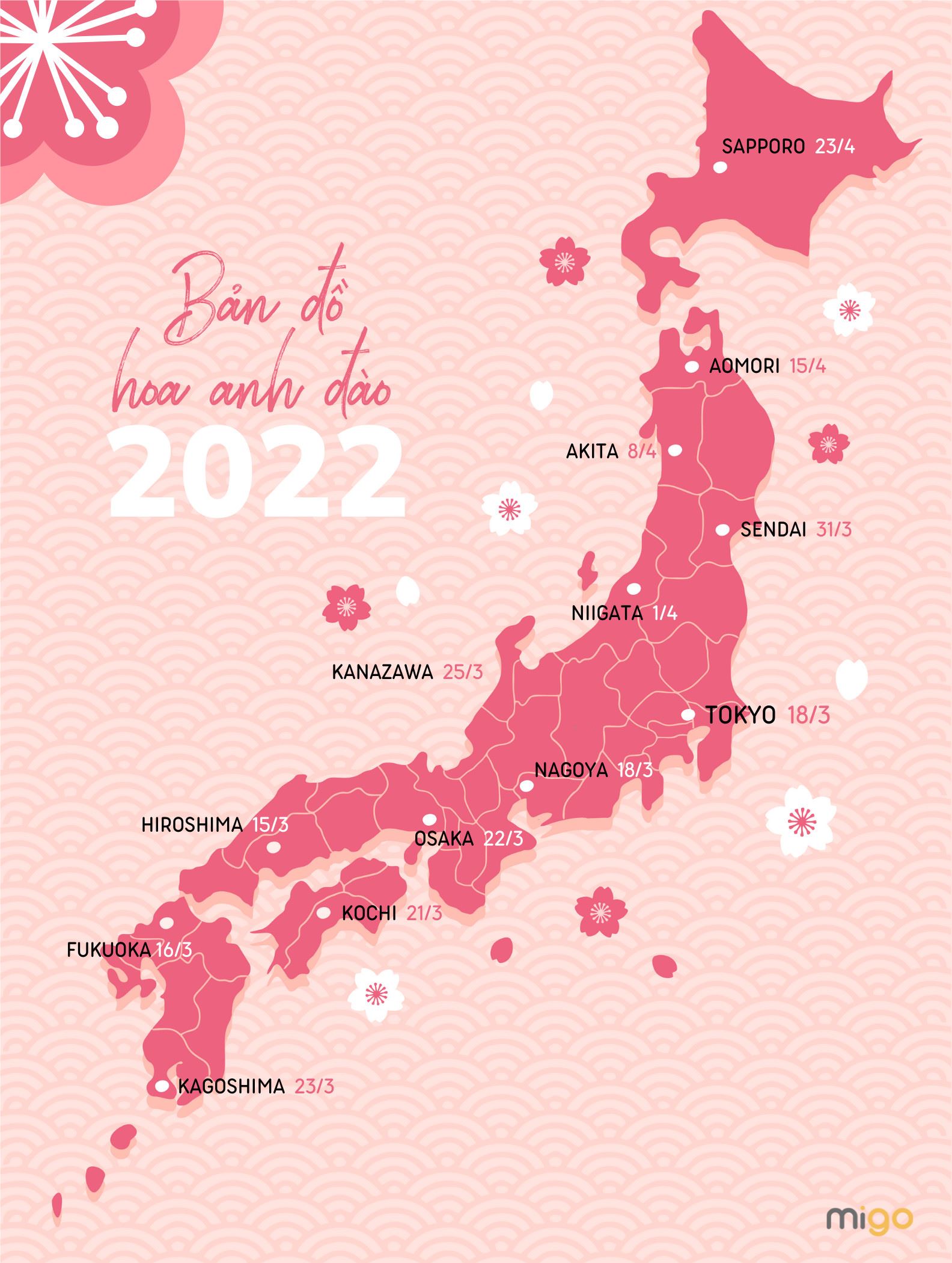 Nếu bạn muốn khám phá vẻ đẹp đặc biệt của những cánh hoa mỏng manh này, hãy xem bản đồ hoa anh đào Nhật Bản. Tìm hiểu về những khu vực có hoa anh đào đẹp nhất và tham quan những chủ đề hoa tuyệt đẹp. Đi bộ dọc theo đường phố và cảm nhận vẻ đẹp độc đáo của mùa xuân Nhật Bản!