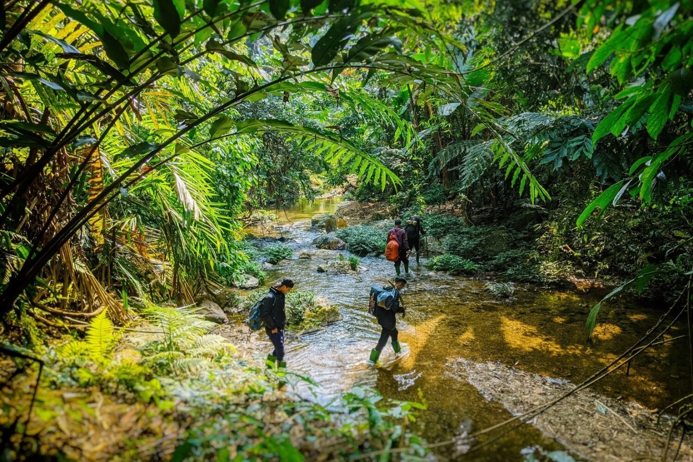 Bushcraft camping - cắm trại hoang dã tại Việt Nam