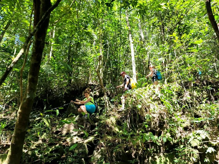 From Hue: Bach Ma National Park Hiking Day Trip with Pickup