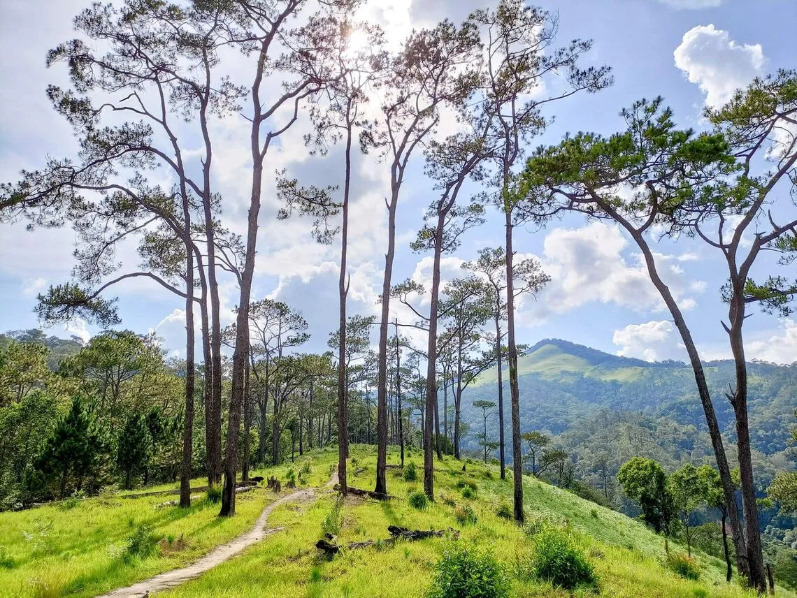 Đi tìm an yên nơi núi rừng Măng Đen - Kom Tum