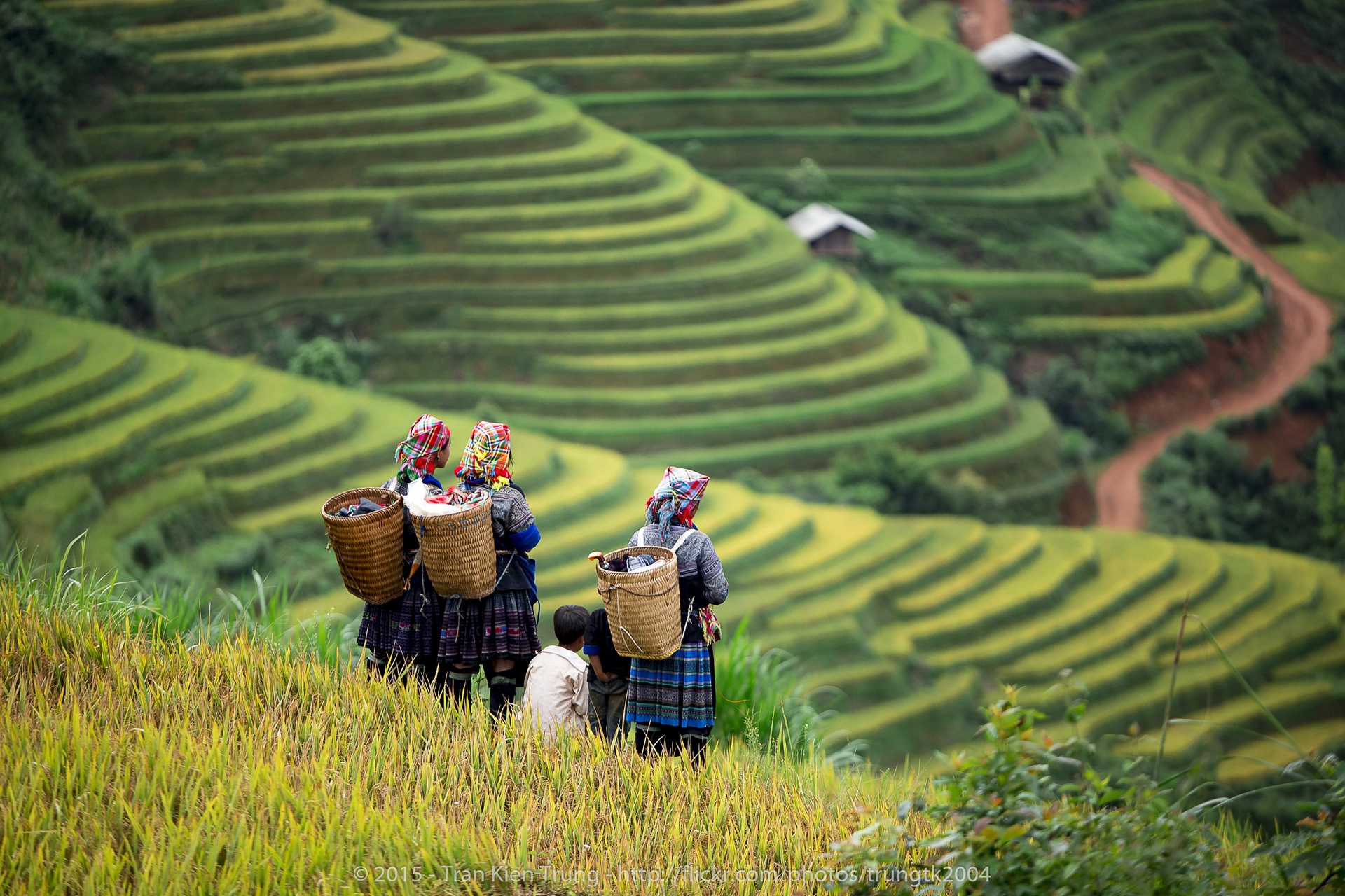 Trải nghiệm Mù Cang Chải - 3 ngày