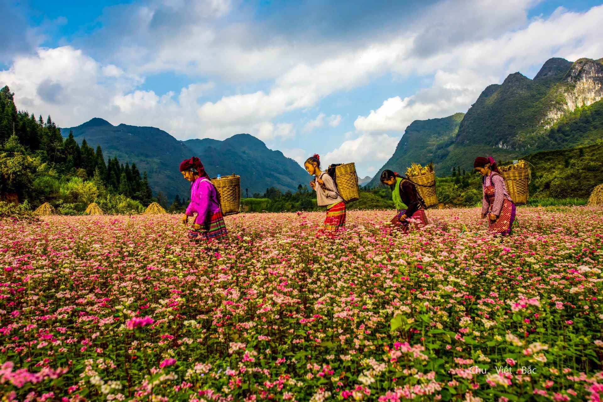 Essential Ha Giang - 5 days