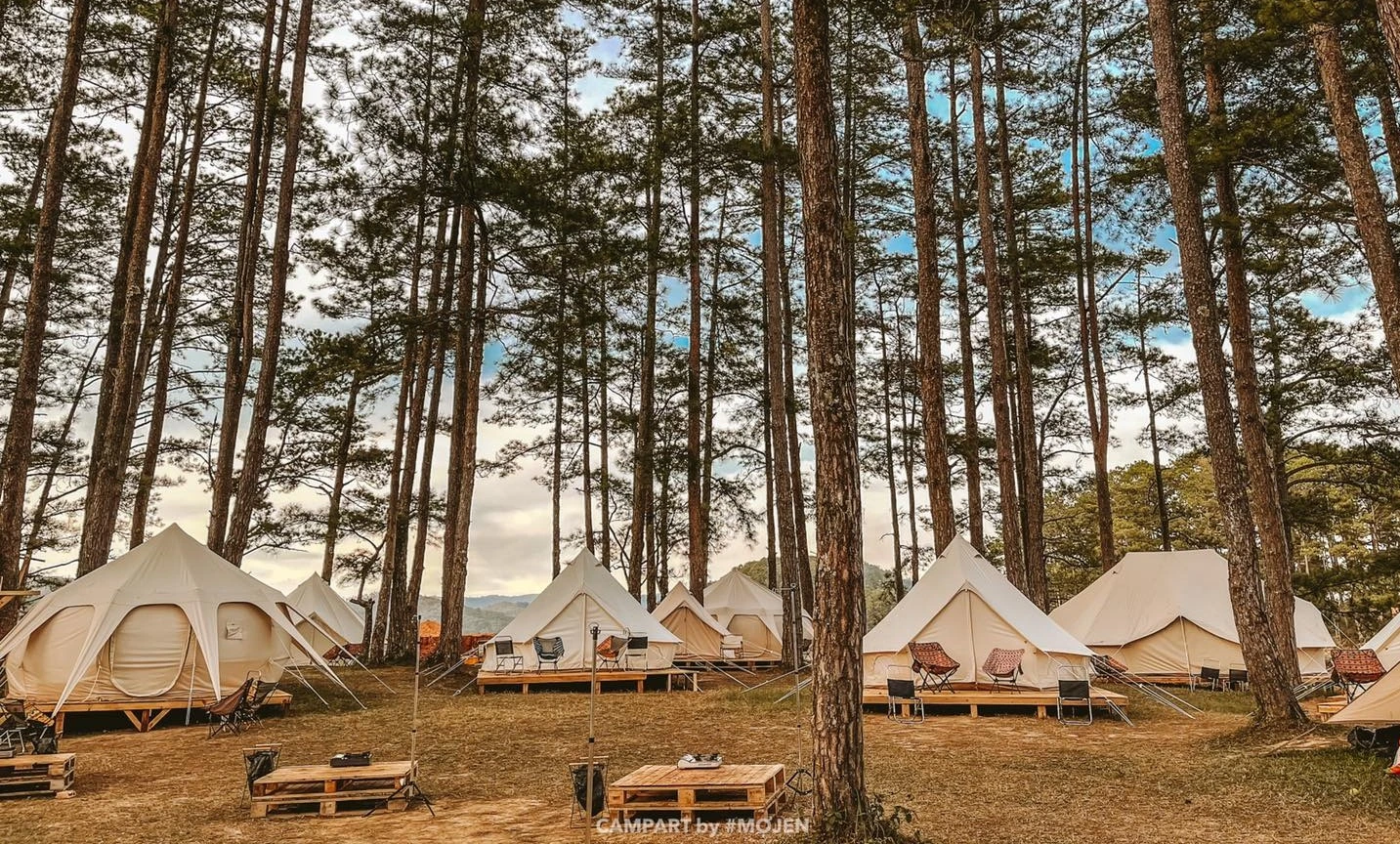 Cắm trại sang chảnh ở Đà Lạt với “Camping Art by Mợ Jen”