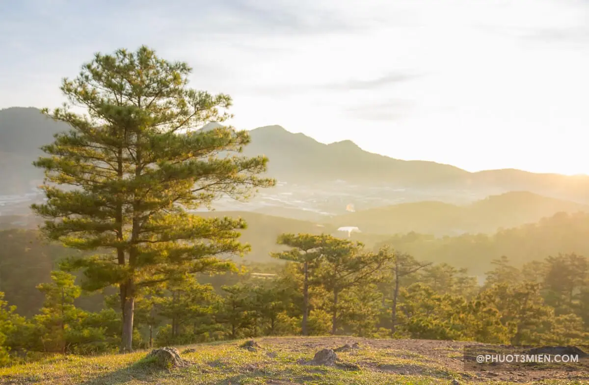Lên đồi Thiên Phúc Đức ở Đà Lạt, cắm trại săn mây view bao đẹp - Phượt 3 Miền