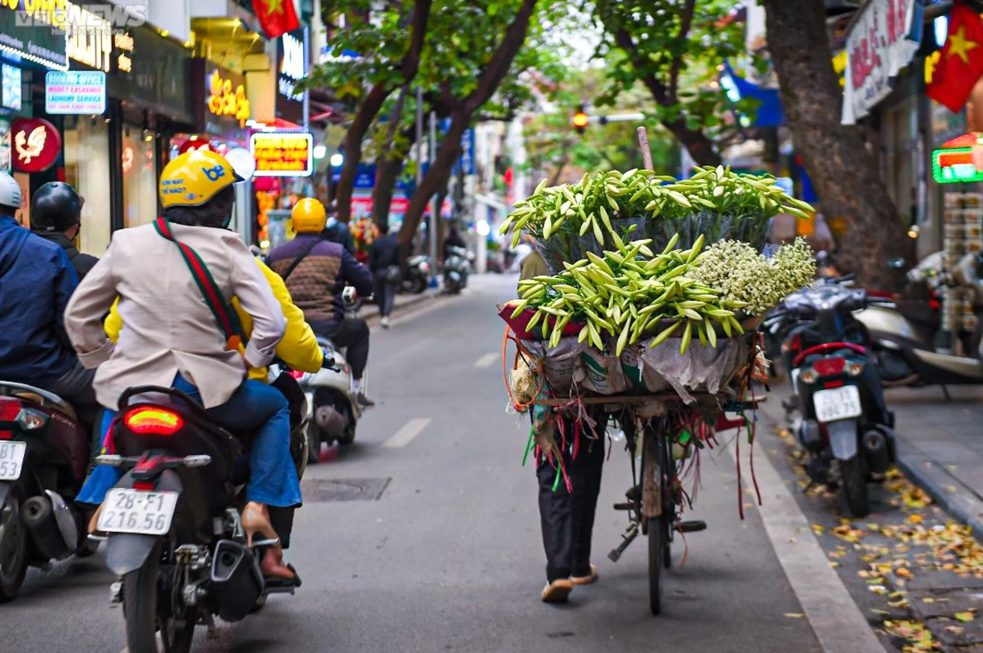 Hoa loa kèn trắng tinh khôi khoe sắc trên phố phường Hà Nội - 7