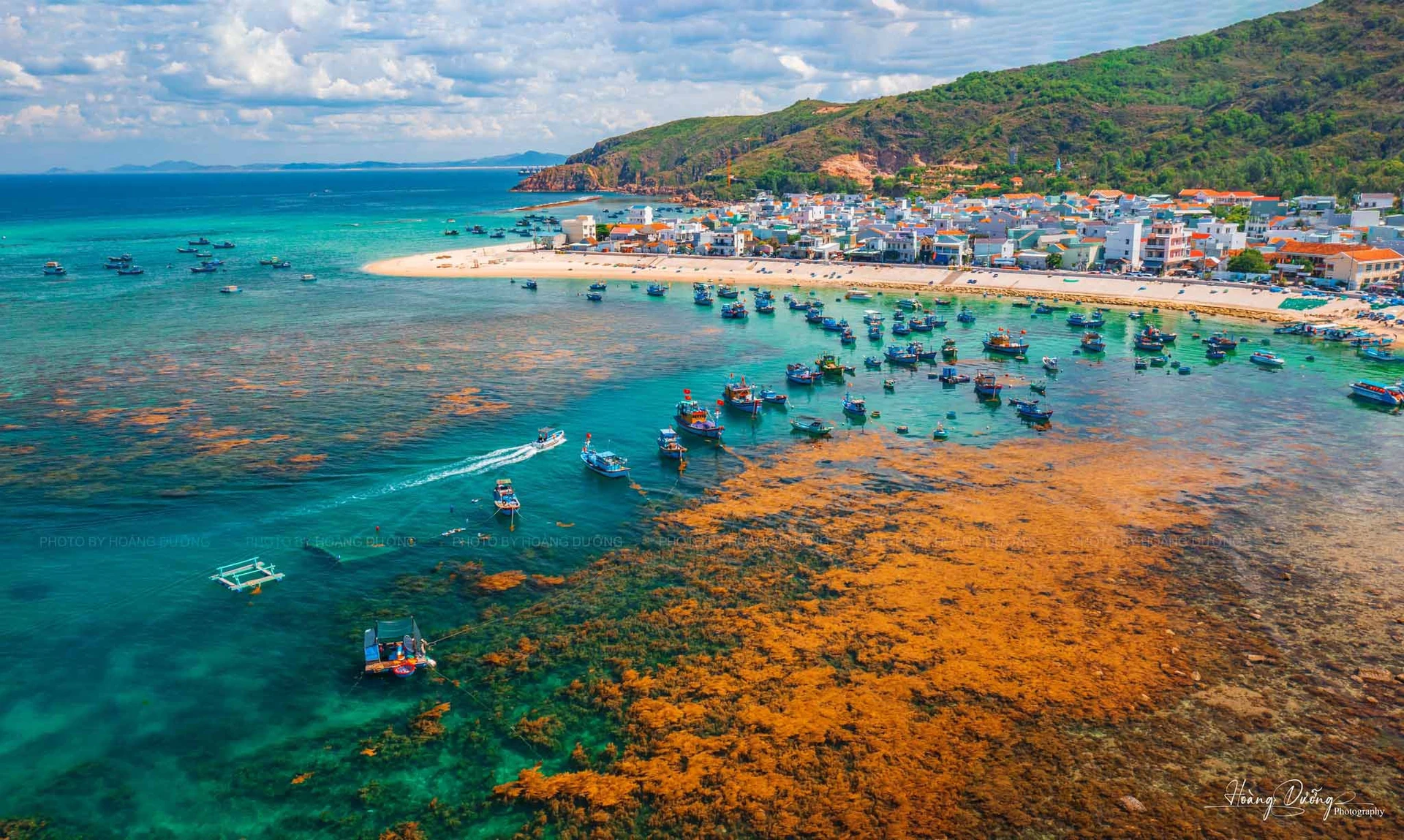 Ấn tượng cảnh sắc 'rừng' rong mơ nhuộm vàng biển Hòn Khô - Báo Quảng Ninh điện tử