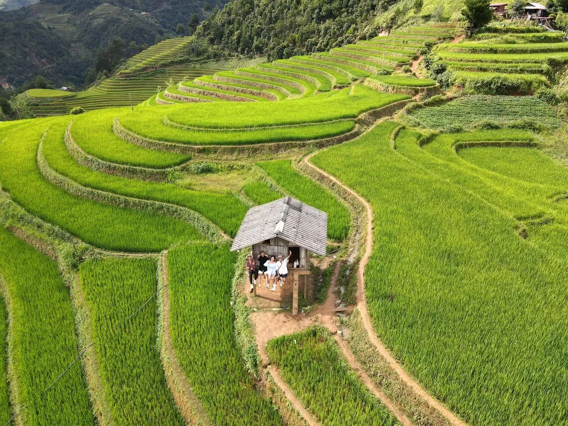 Những thửa ruộng bậc thang đang vào độ đẹp nhất trong năm. Photo: FB@phuongtali