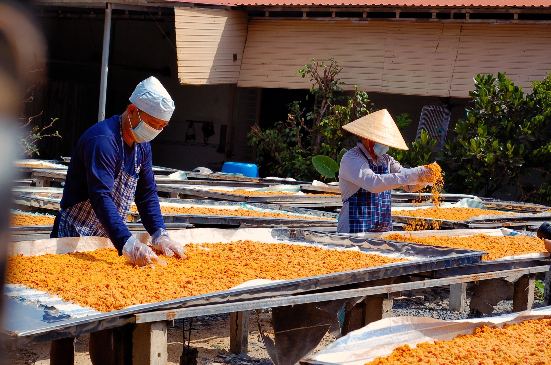 Chân dung người phụ nữ đứng sau lò muối tôm đầu tiên ở Tây Ninh