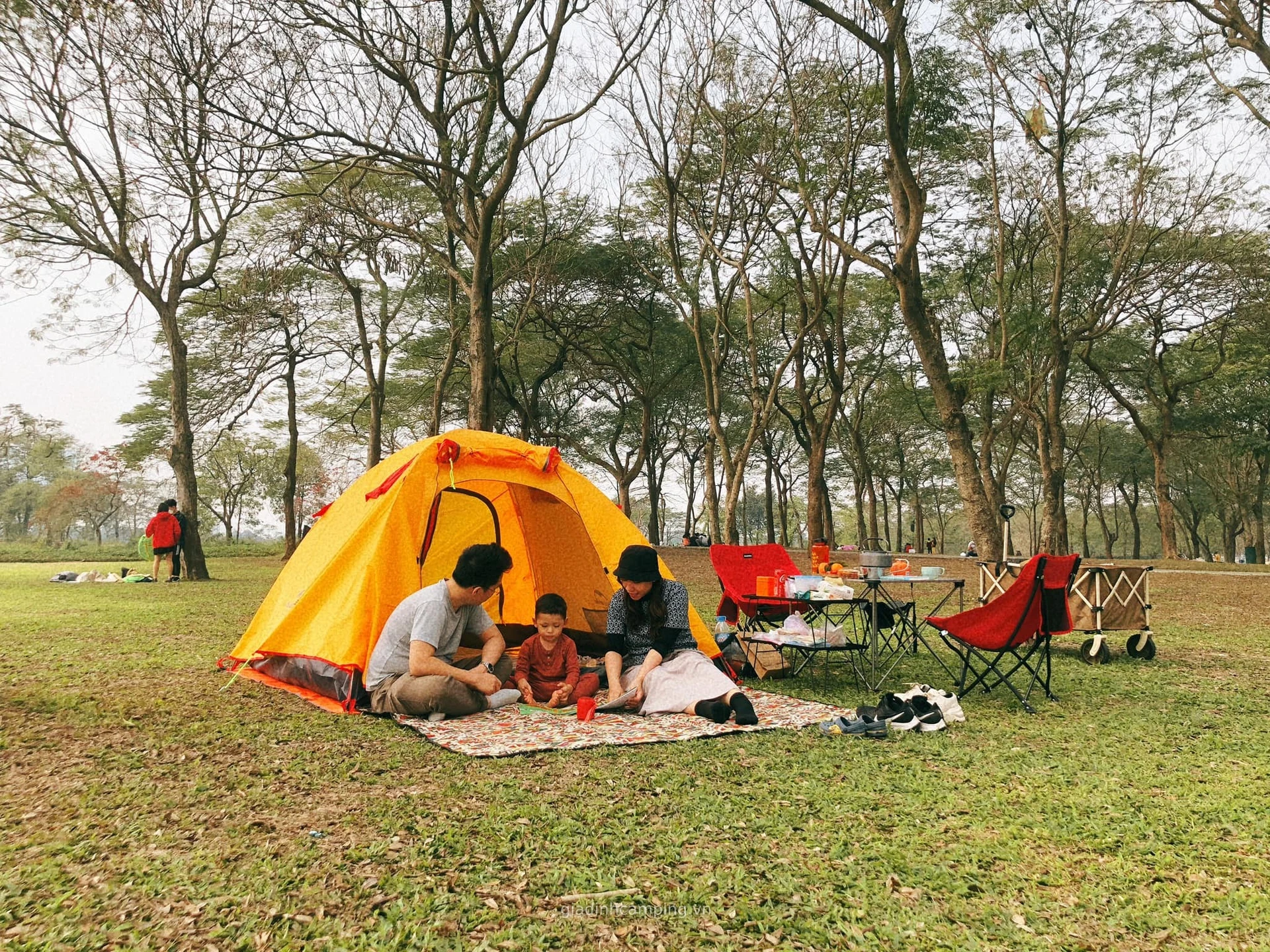 How to Find the Best Camping Near Me In Vietnam